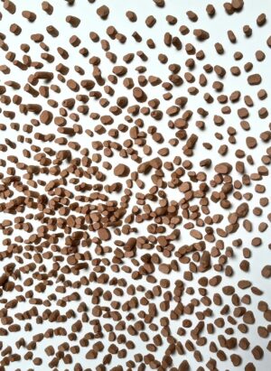 Connected by shadows – Image 4