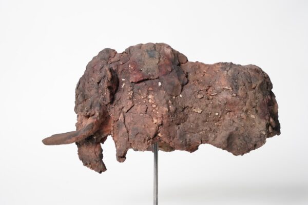 Miniaturen bison - mammouth