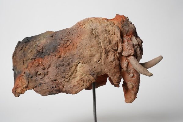 Miniaturen bison - mammouth