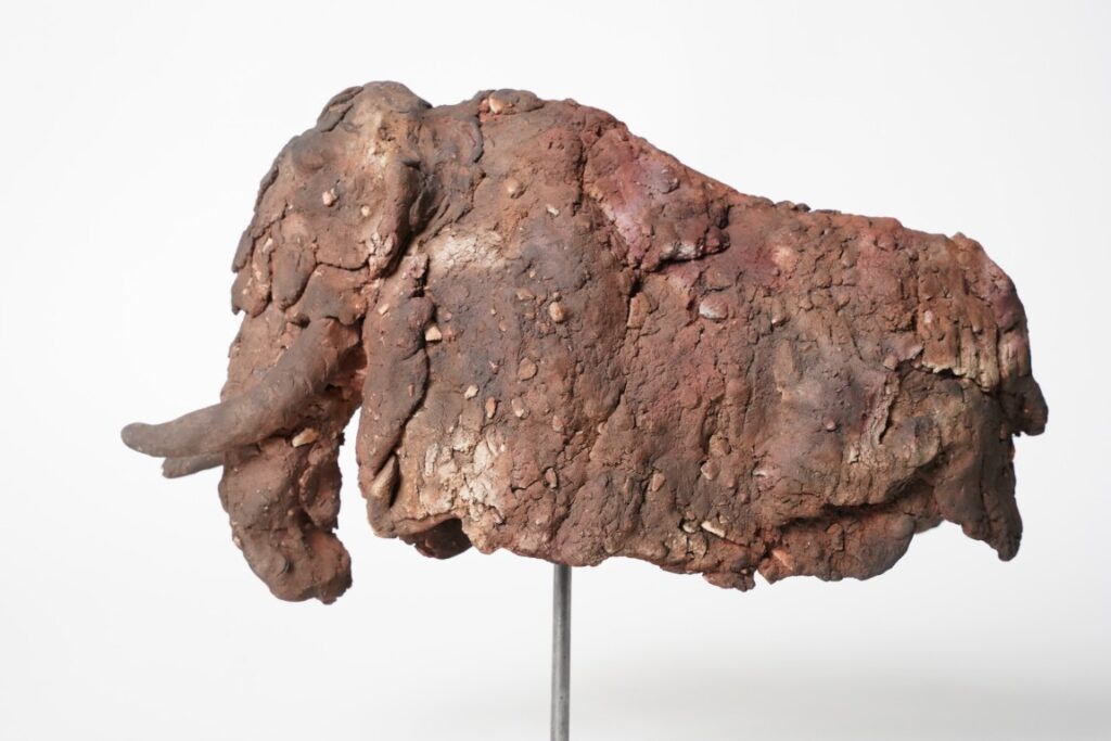 Miniaturen bison - mammouth