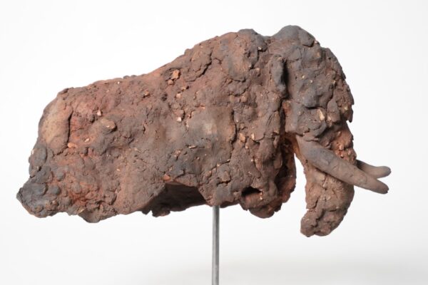 Miniaturen bison - mammouth