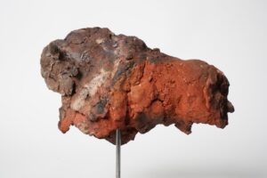 Miniaturen bison - mammouth