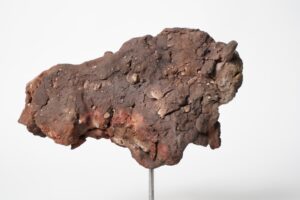 Miniaturen bison - mammouth - Afbeelding 8