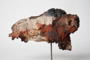 Miniaturen bison - mammouth - Afbeelding 10