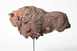 Miniaturen bison - mammouth - Afbeelding 11