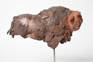 Miniaturen bison - mammouth - Afbeelding 12