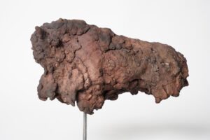 Miniaturen bison - mammouth - Afbeelding 13