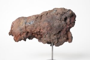 Miniaturen bison - mammouth - Afbeelding 14