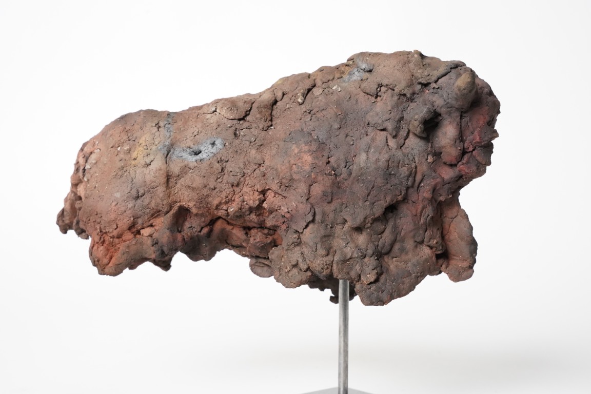 Miniaturen bison - mammouth - Afbeelding 14