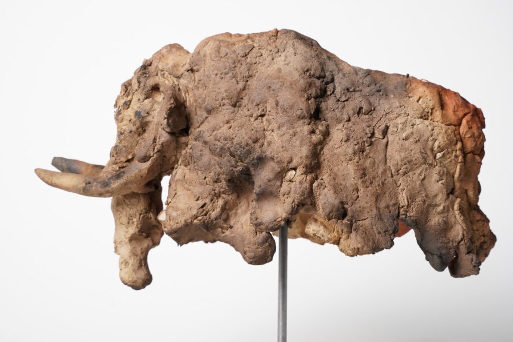 Miniaturen bison - mammouth