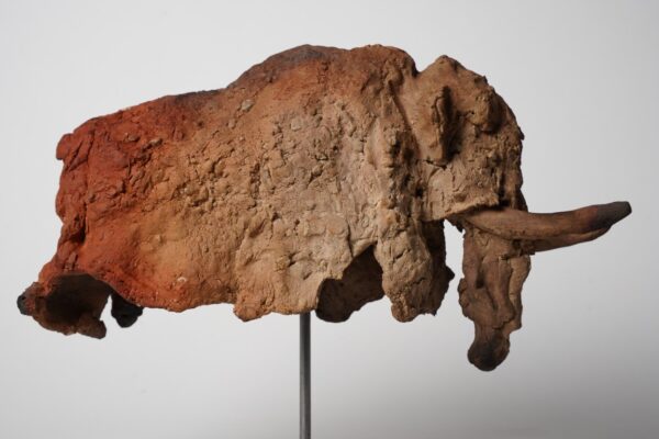 Miniaturen bison - mammouth