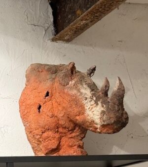 Head of rhinoceros 20/1 - Afbeelding 2