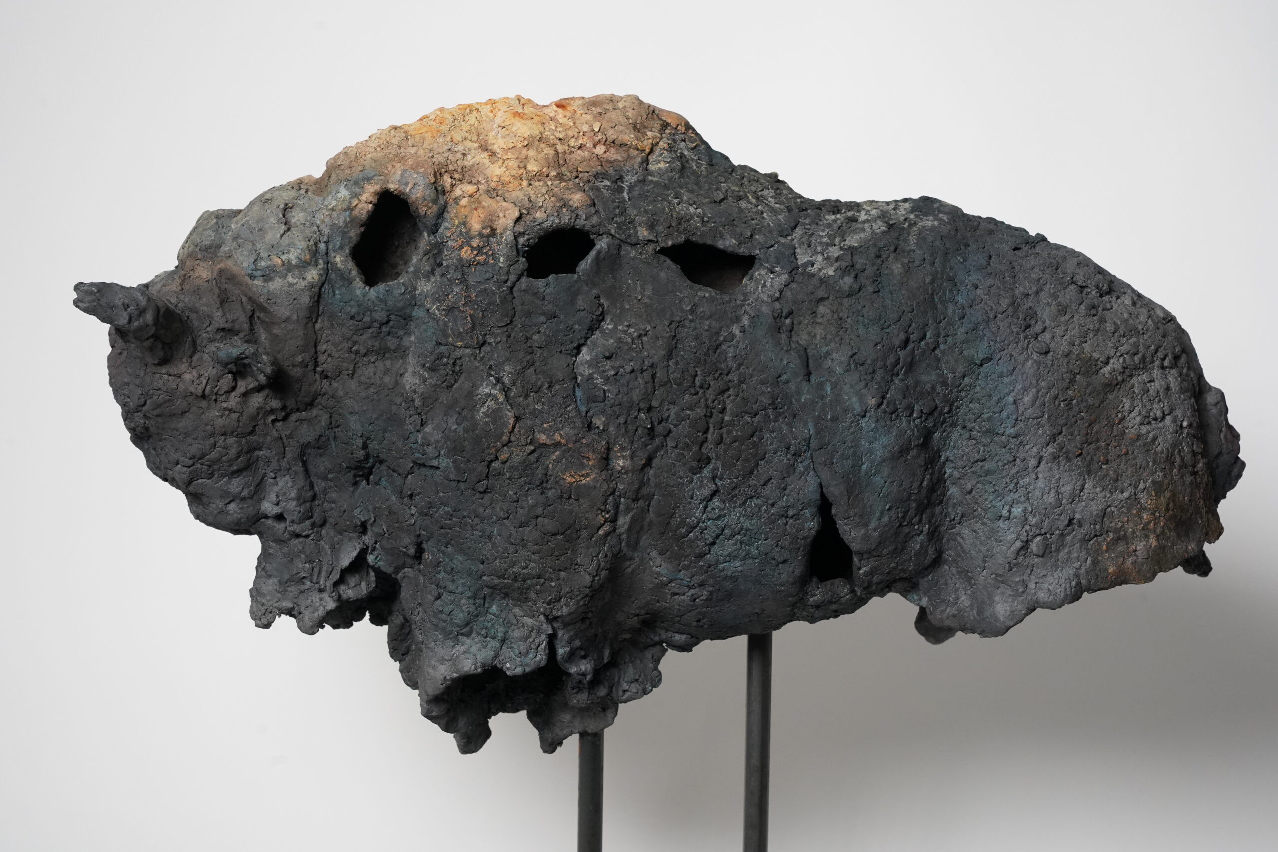 Bison 24/10 - Afbeelding 1