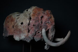 Mammouth – Image 2