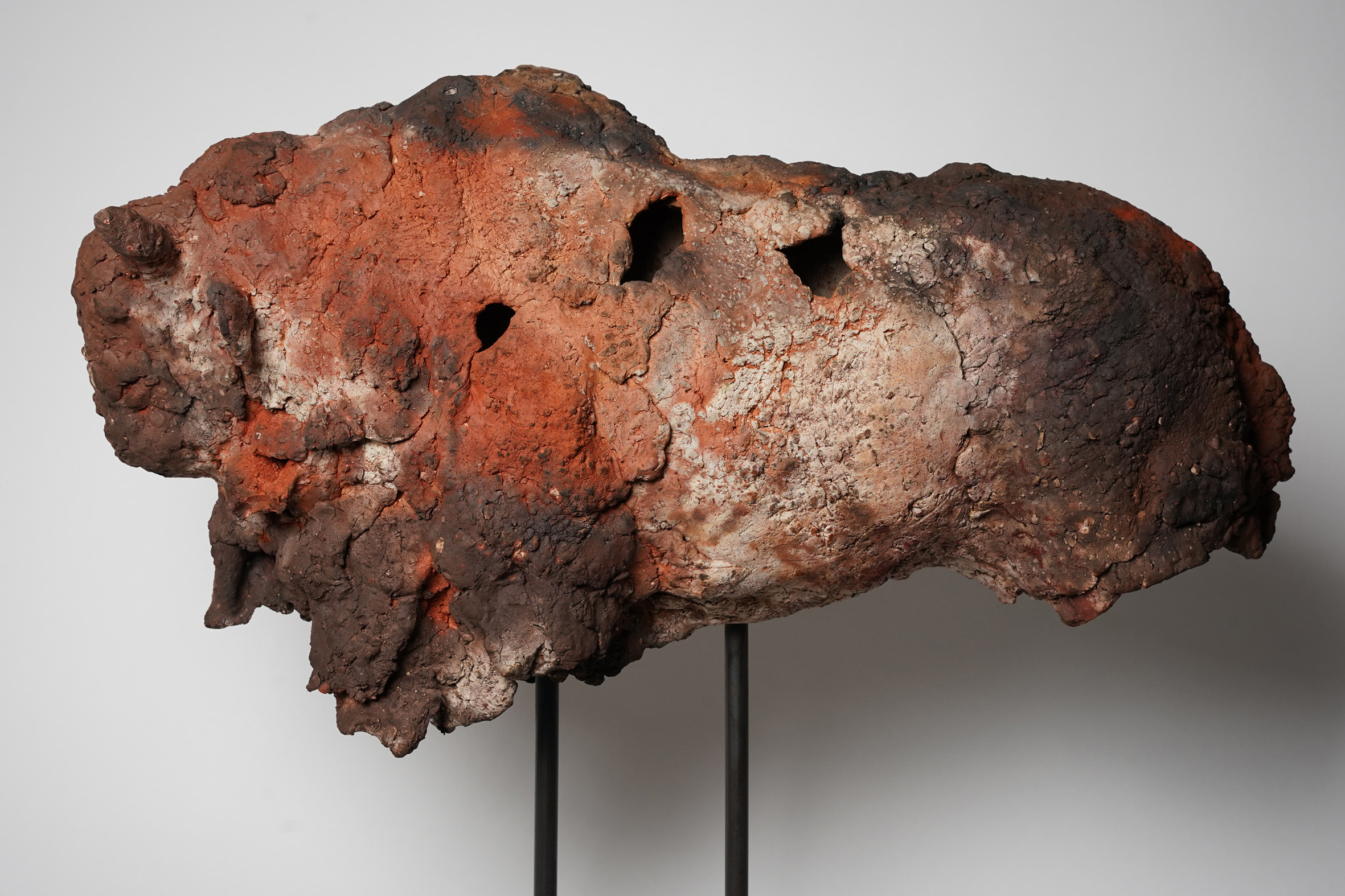 Bison - 2026/2 - Afbeelding 1