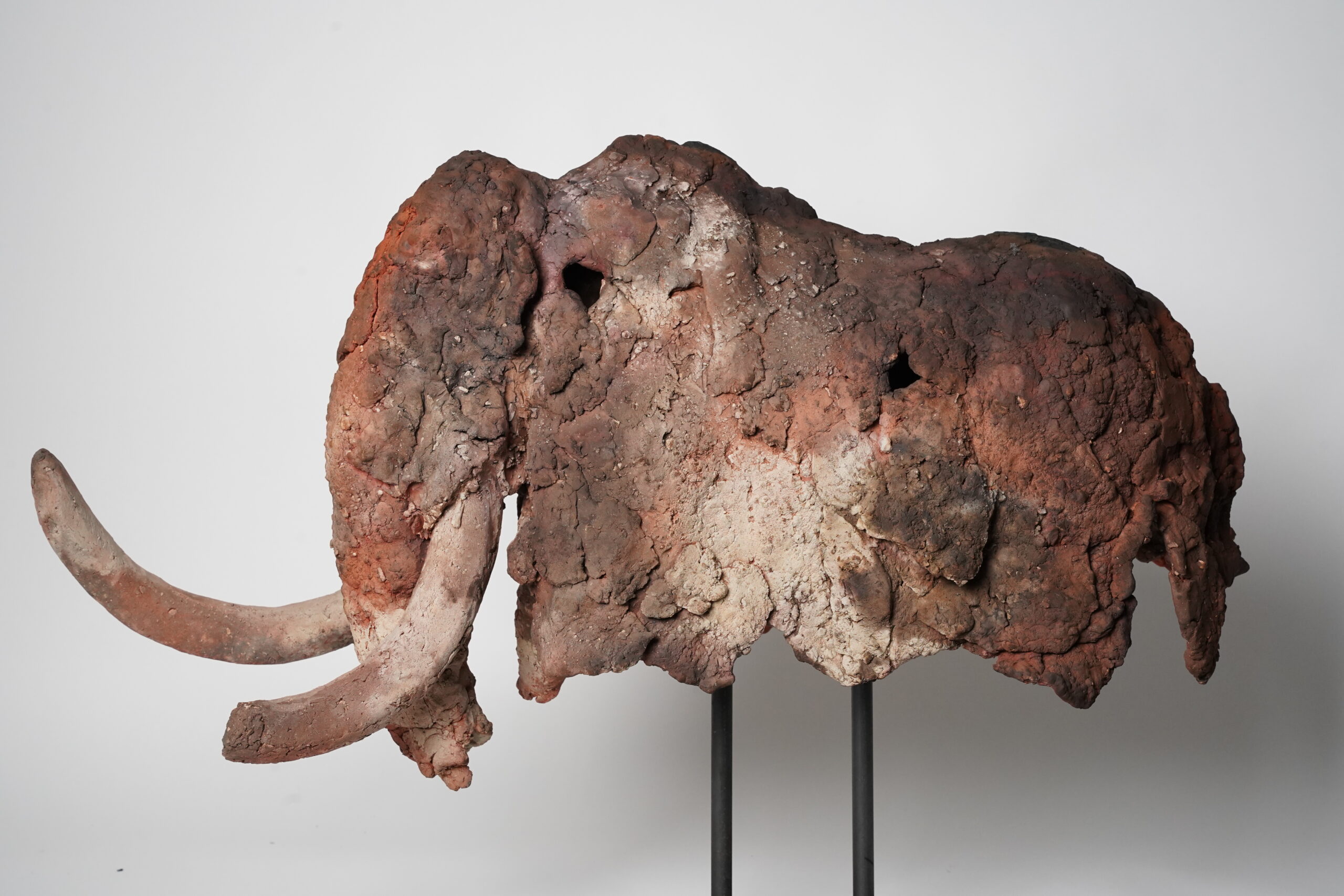 Mammouth – Image 1