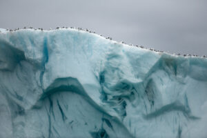 Foto's Laurent Joffrion - in ondersteuning van het werk van Benoît Pouplard - Image 3