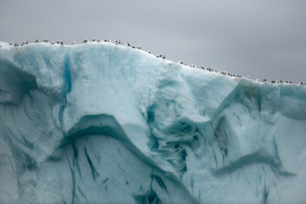 Foto's Laurent Joffrion - in ondersteuning van het werk van Benoît Pouplard