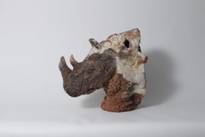 Head of rhinoceros 20/1