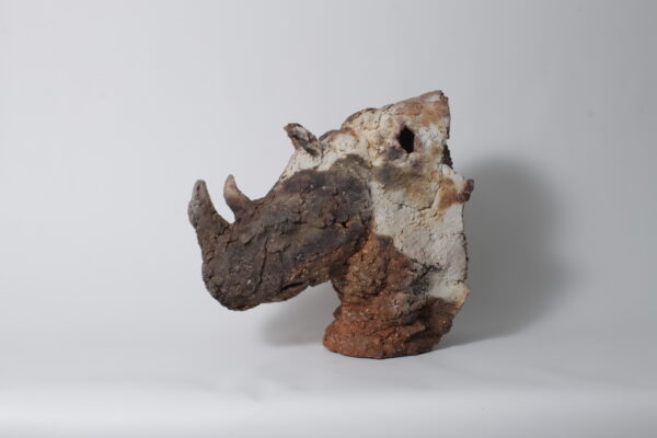 Head of rhinoceros 20/1