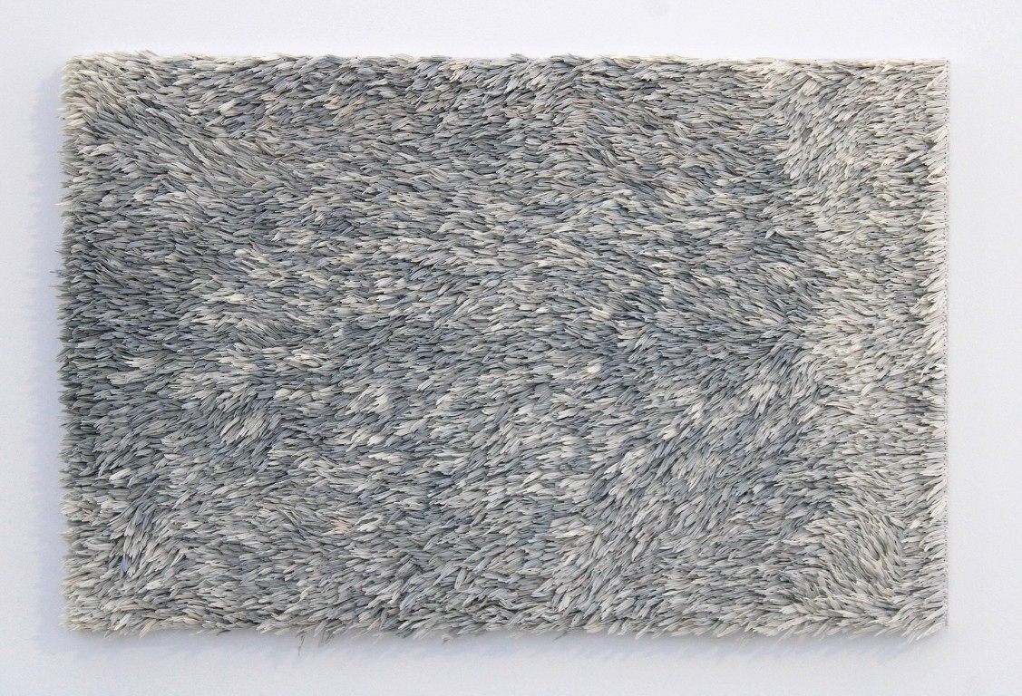 Phoque annelé - Image 1